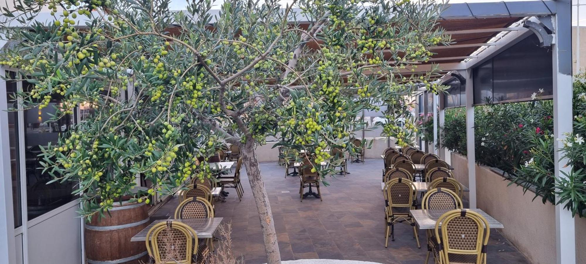 Hotel Restaurant Calypso, à 10 m de la plage Fos-sur-Mer Exterior foto
